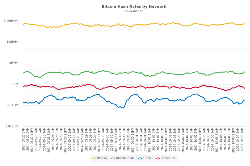 Bitcoin Hash Rates by Network