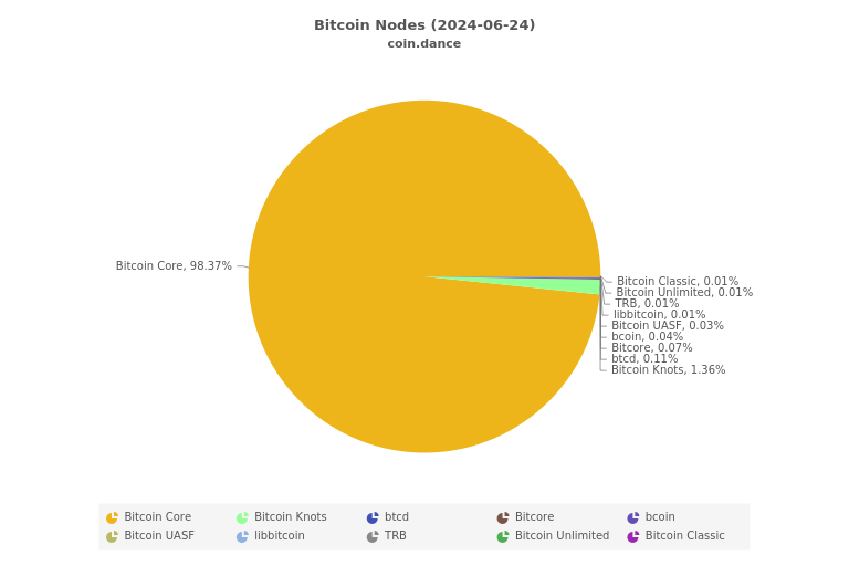 Bitcoin Nodes